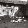 Haus Nr. 12